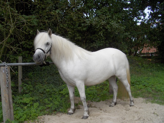 Weshorns Lela